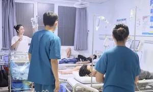 Khuẩn Salmonella khiến 80 sinh viên Lào Cai ngộ độc